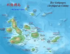 包含圣皮埃尔和密克隆群岛全队集结，备战即将到来的强大对手的词条
